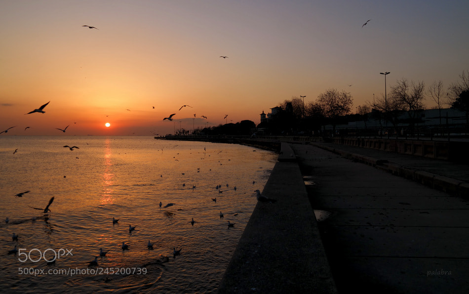 Samsung NX30 sample photo. ... photography