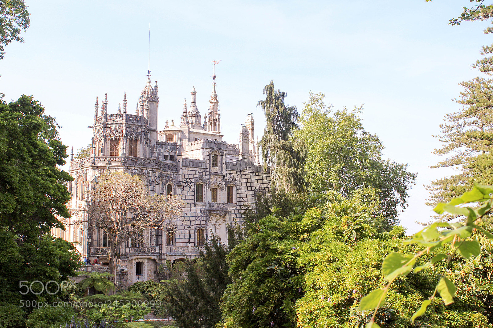 Canon EOS 1200D (EOS Rebel T5 / EOS Kiss X70 / EOS Hi) sample photo. Quinta da regaleira photography