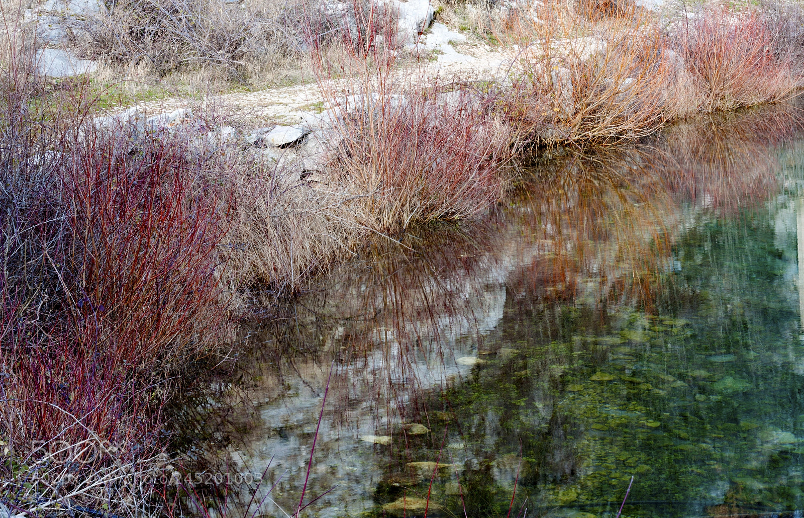 Canon EOS 450D (EOS Rebel XSi / EOS Kiss X2) sample photo. Cetina river-head detail. vrlika photography
