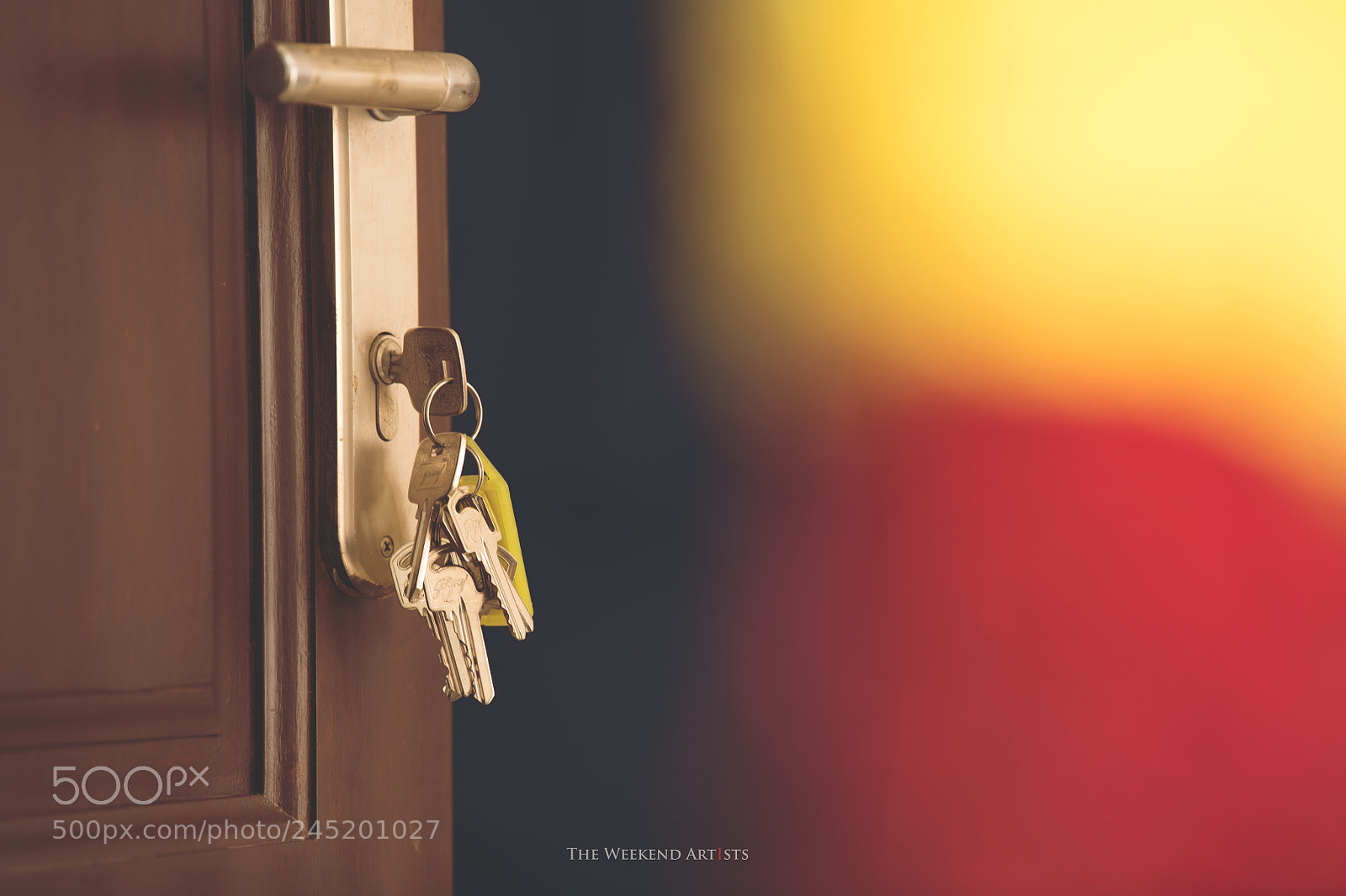 Nikon D850 sample photo. Untitled photography