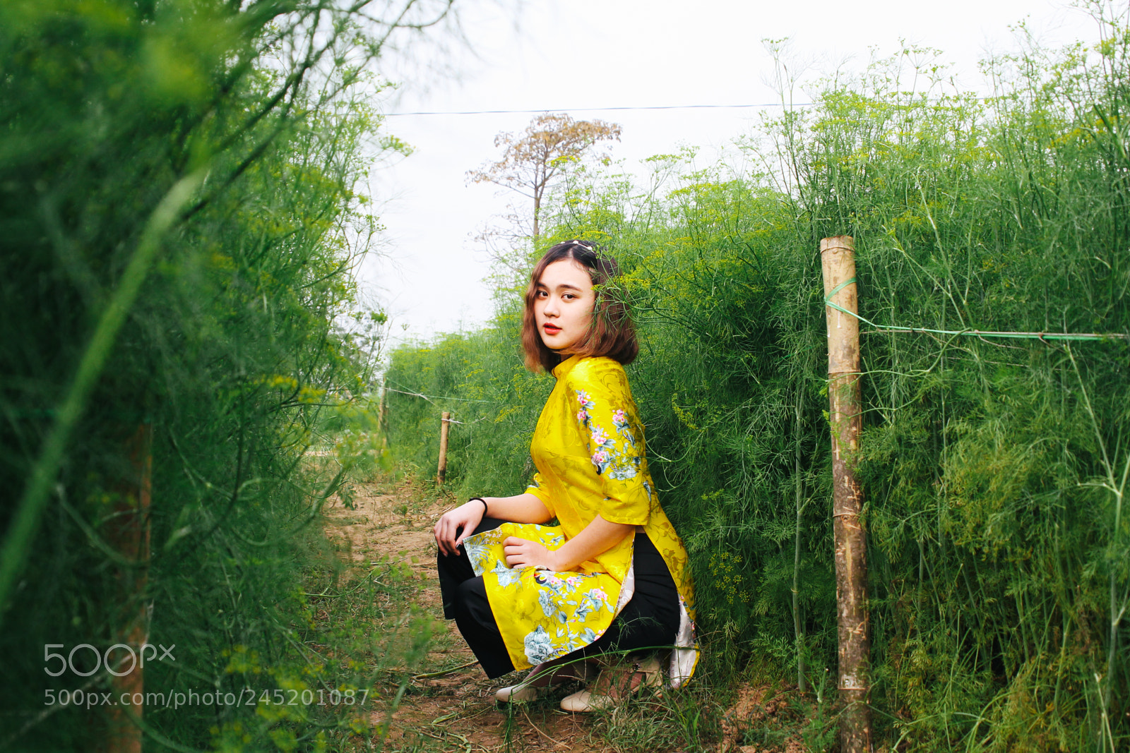 Canon EOS 60D sample photo. My linh 2 photography