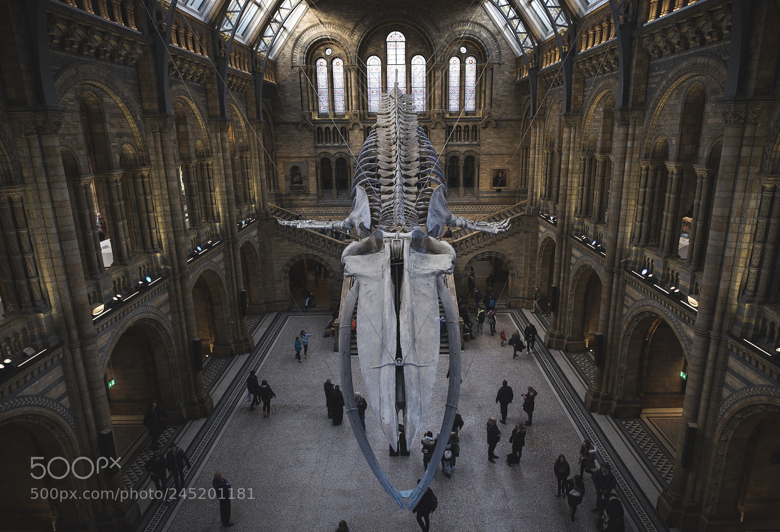 Fujifilm X-T1 sample photo. Natural history museum, in photography