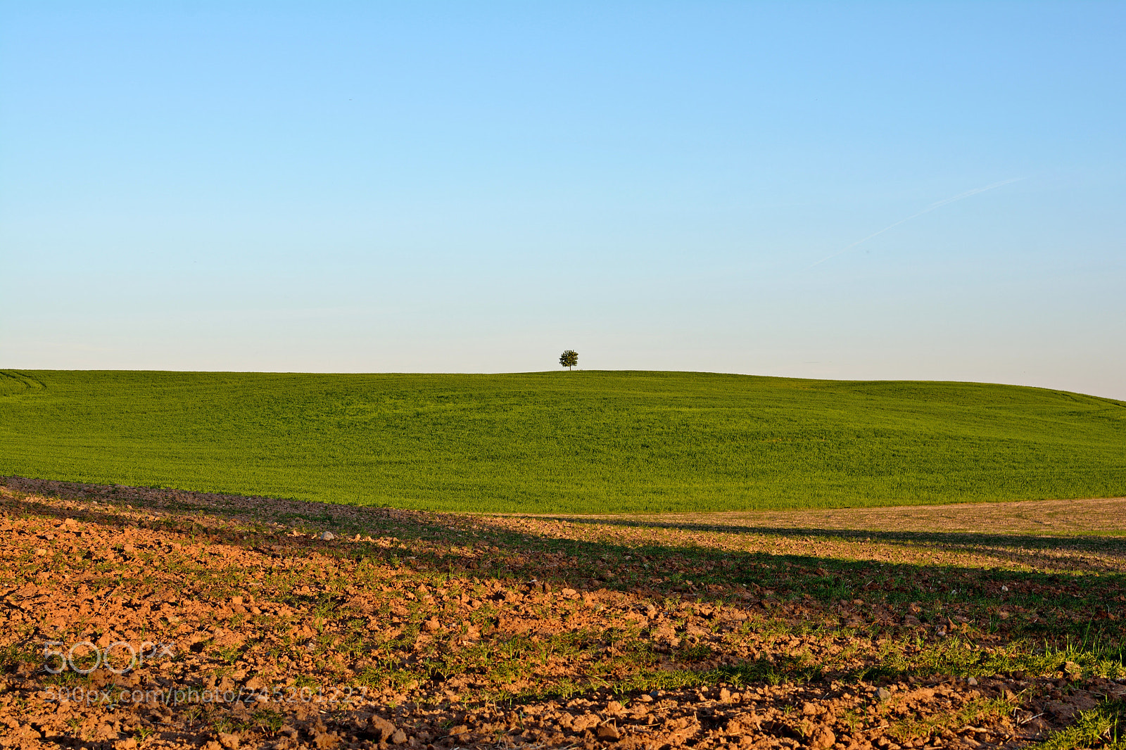 Nikon D5200 sample photo. One photography