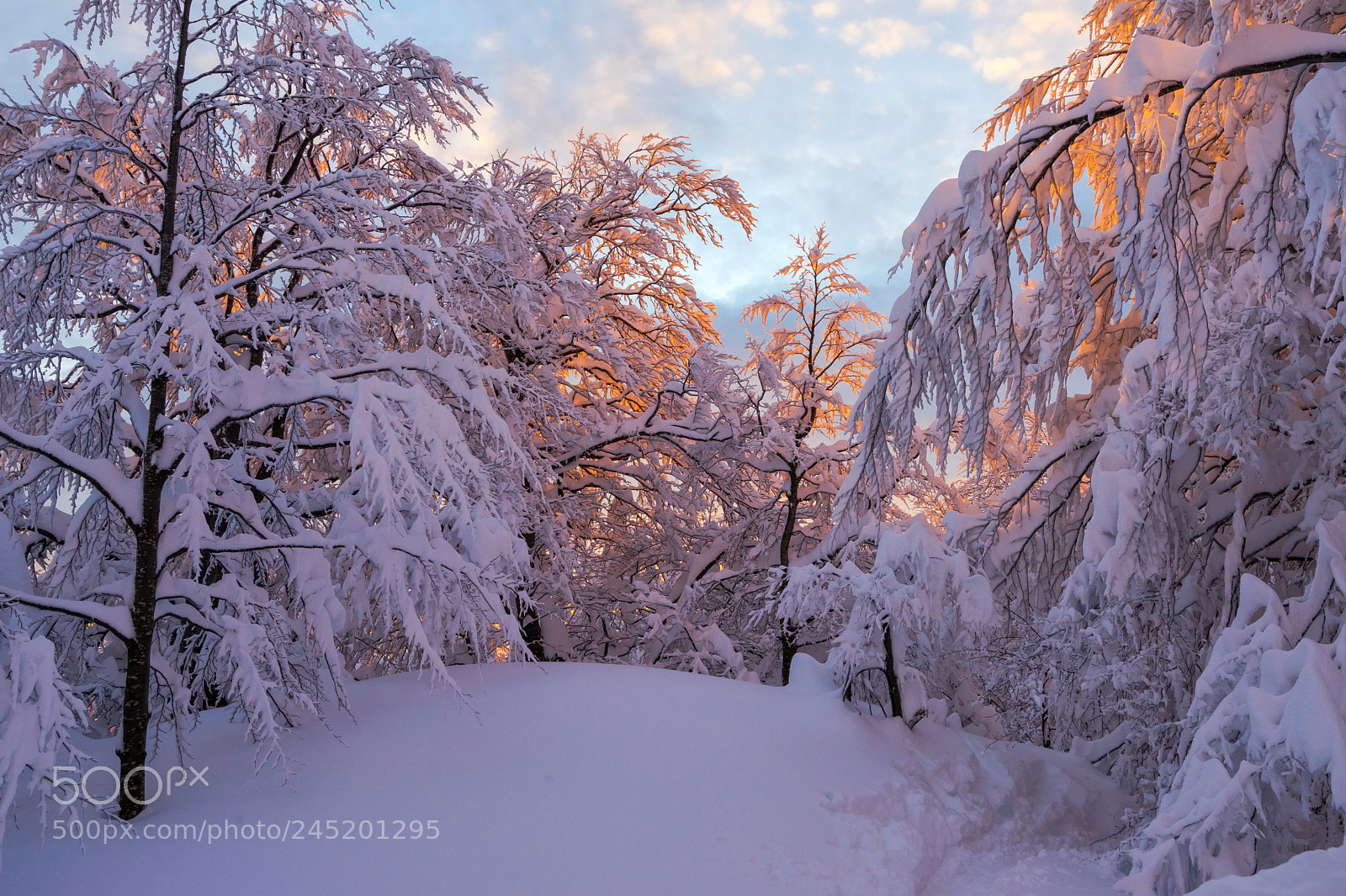 Sony a7 II sample photo. Fire & ice photography