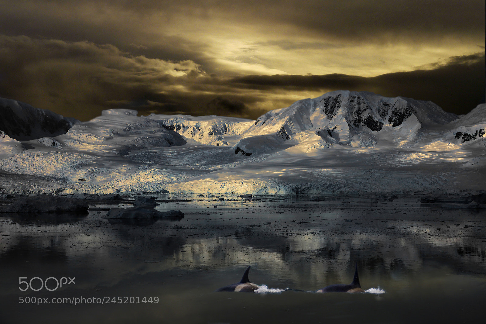Canon EOS 5DS R sample photo. The 7th continent.... photography