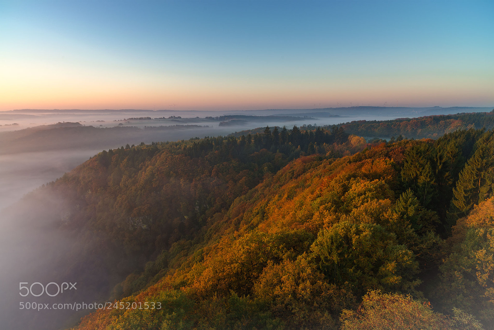 Nikon D800 sample photo. Saarschleife photography