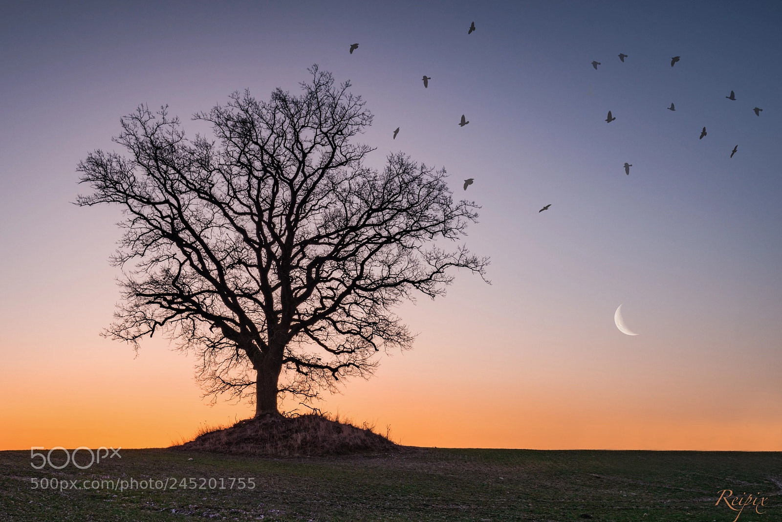 Sony a7R sample photo. Sonnenaufgang in mecklenburg-vorpommern photography
