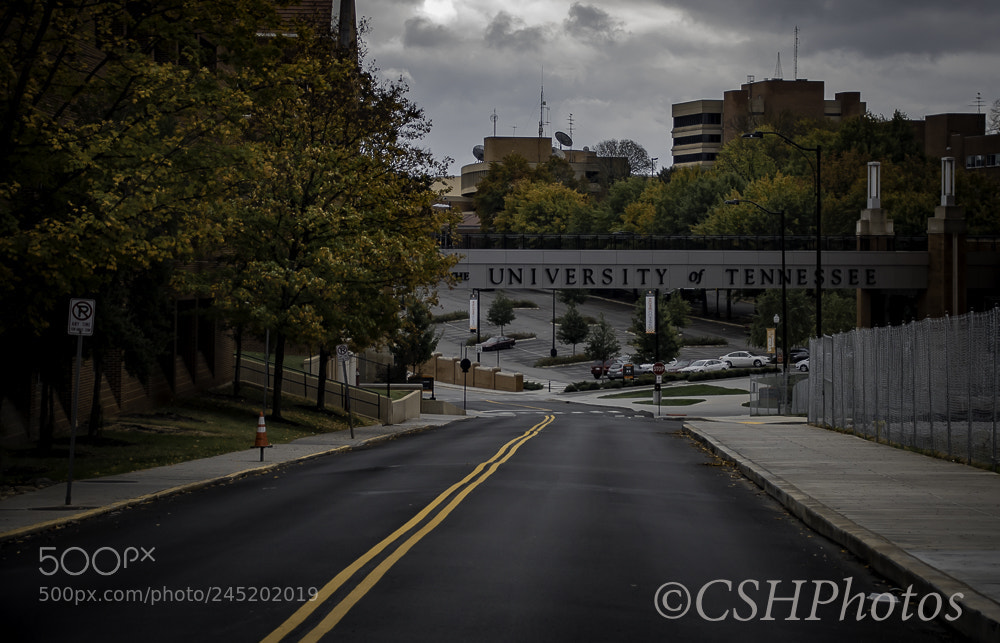 Nikon D500 sample photo. University of tennessee photography