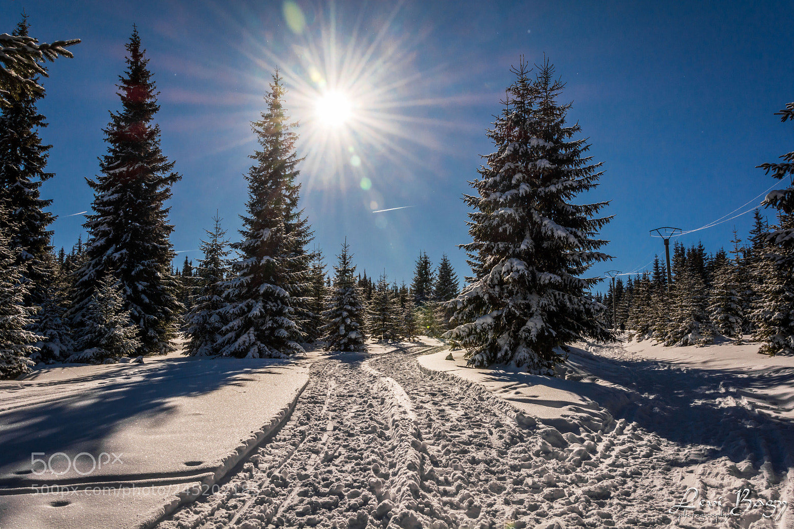 Nikon D7100 sample photo. Sunny day in winter photography