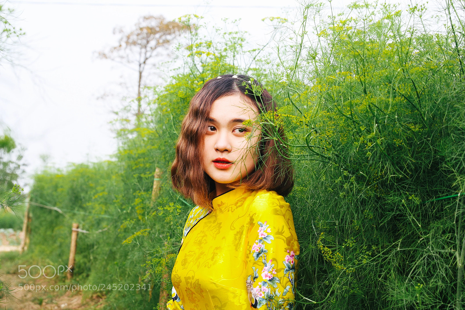 Canon EOS 60D sample photo. My linh 3 photography