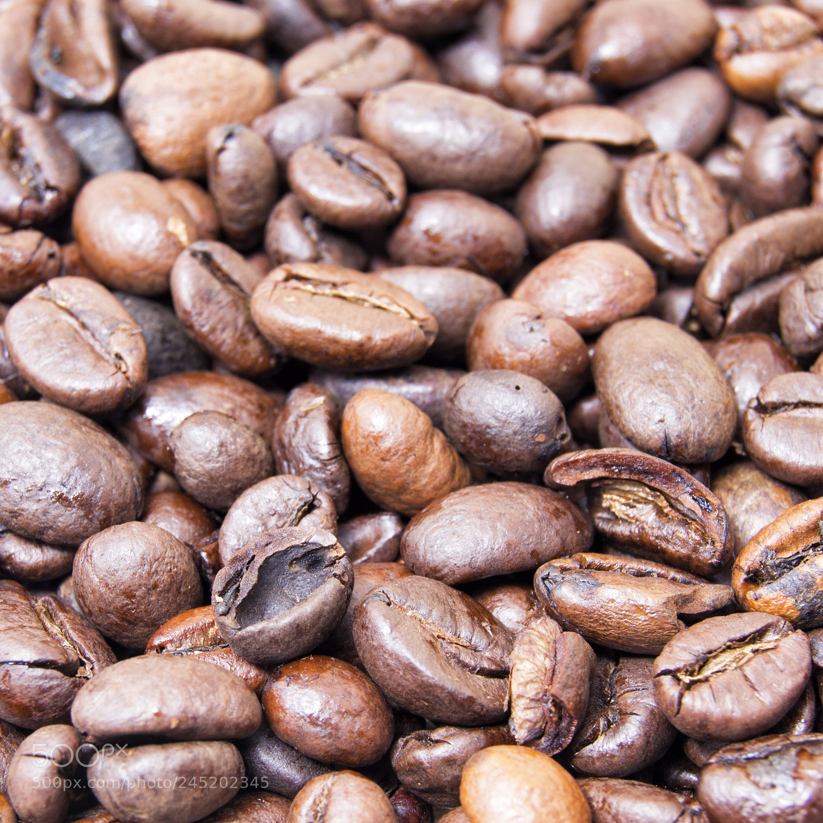 Nikon D3100 sample photo. Close up of roasted photography