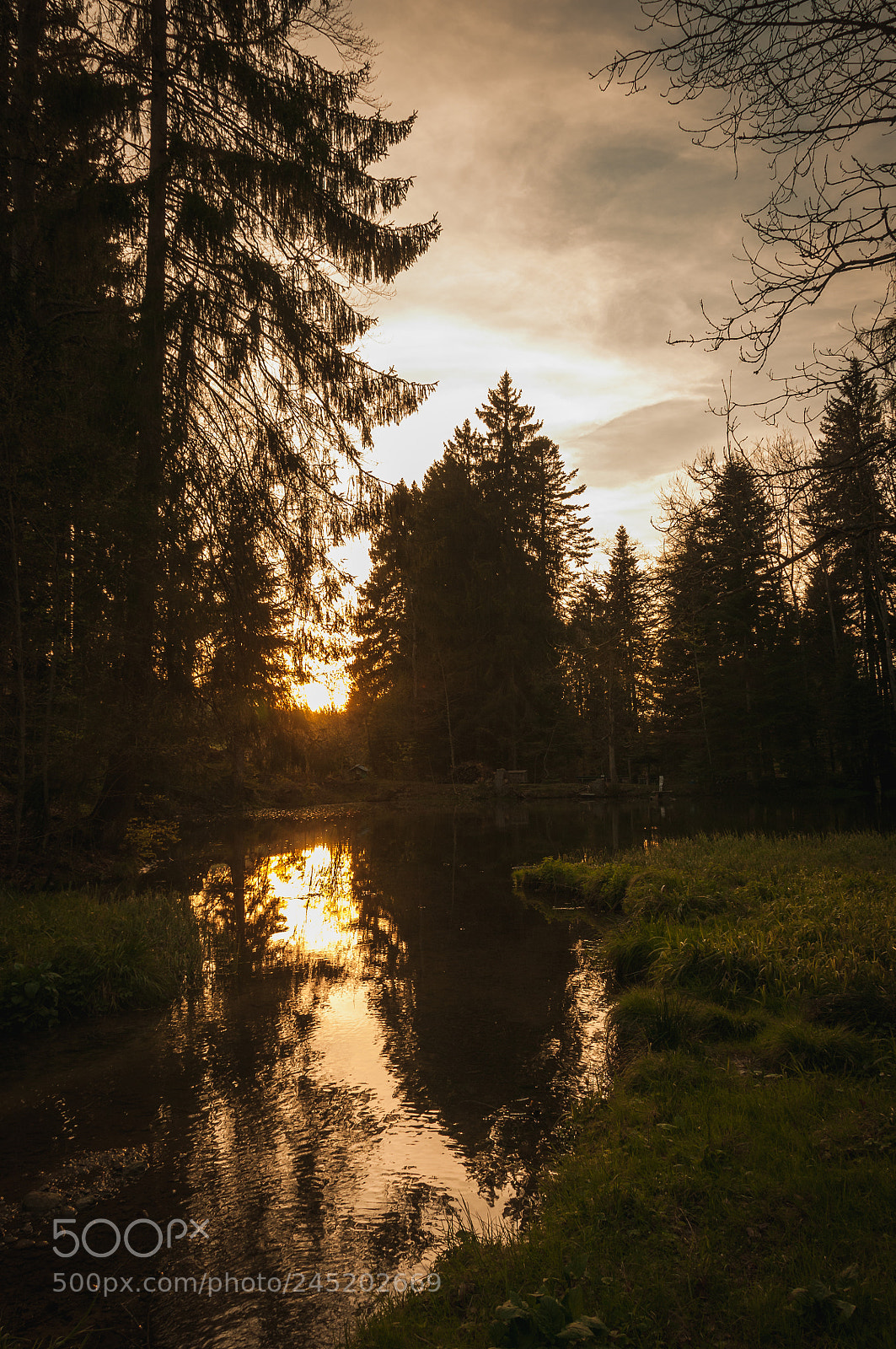 Nikon D300 sample photo. Trogen unterbachweiher photography