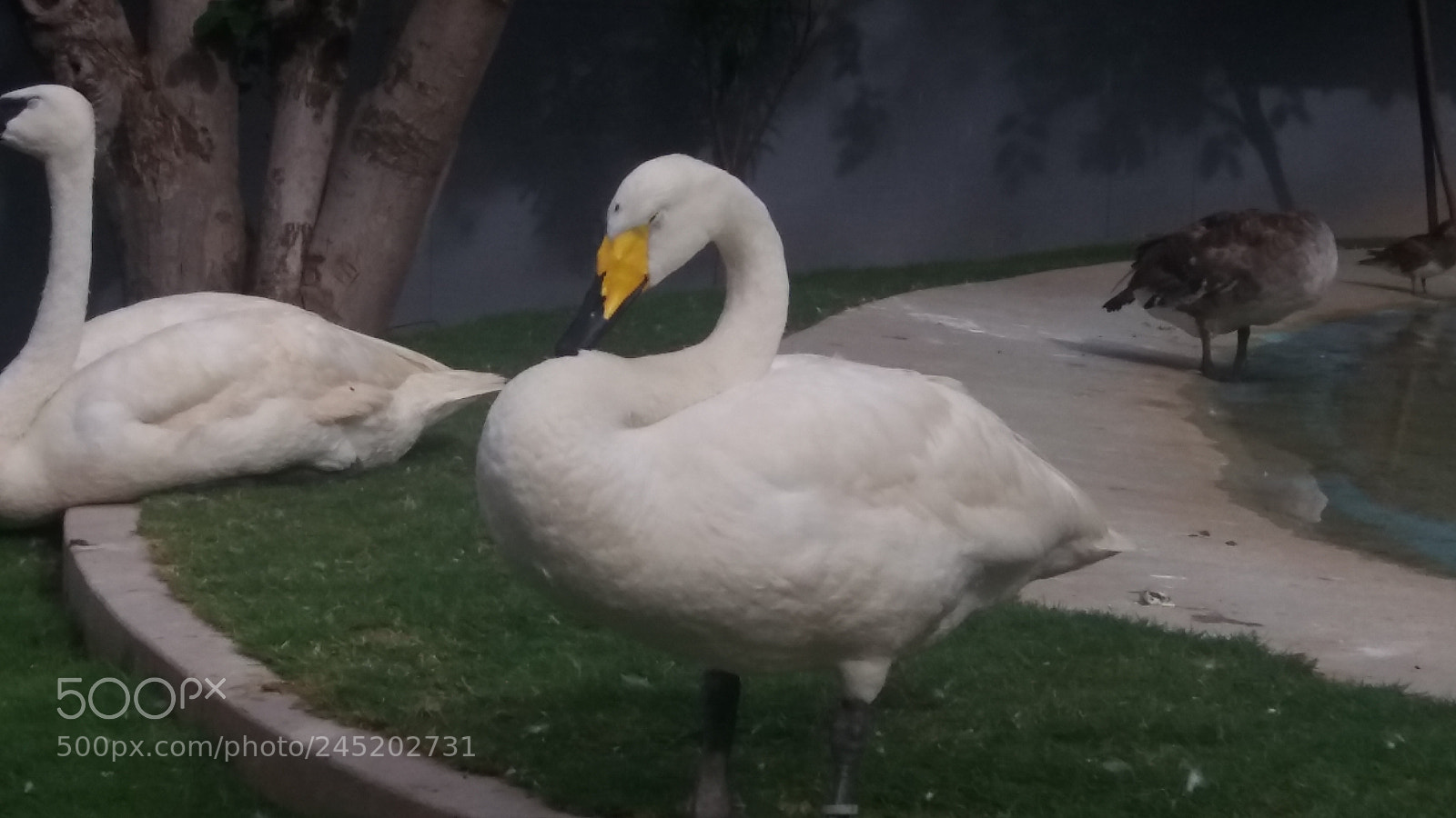 Samsung Galaxy J5 sample photo. 20170703_161937.jpg photography