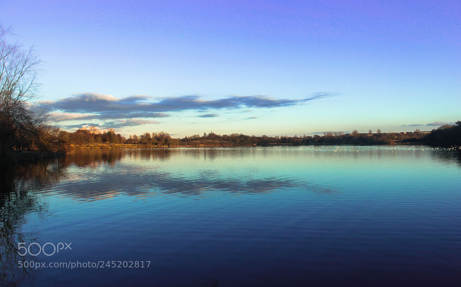 Canon EOS 550D (EOS Rebel T2i / EOS Kiss X4) sample photo. The rare scottish sunny photography