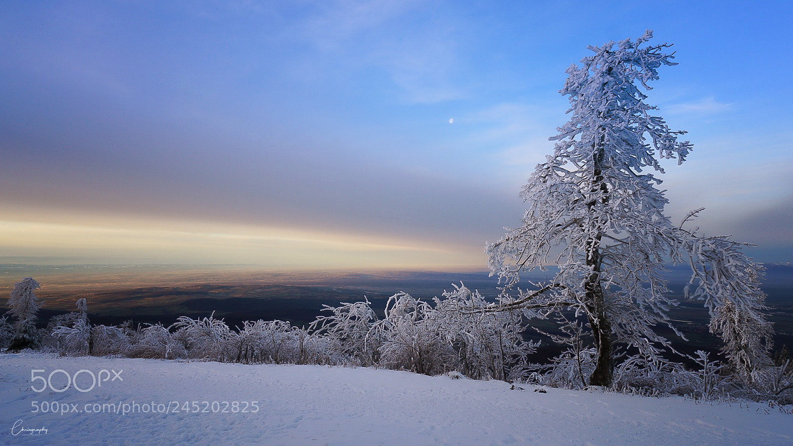 Sony a6500 sample photo. Hochblauen photography