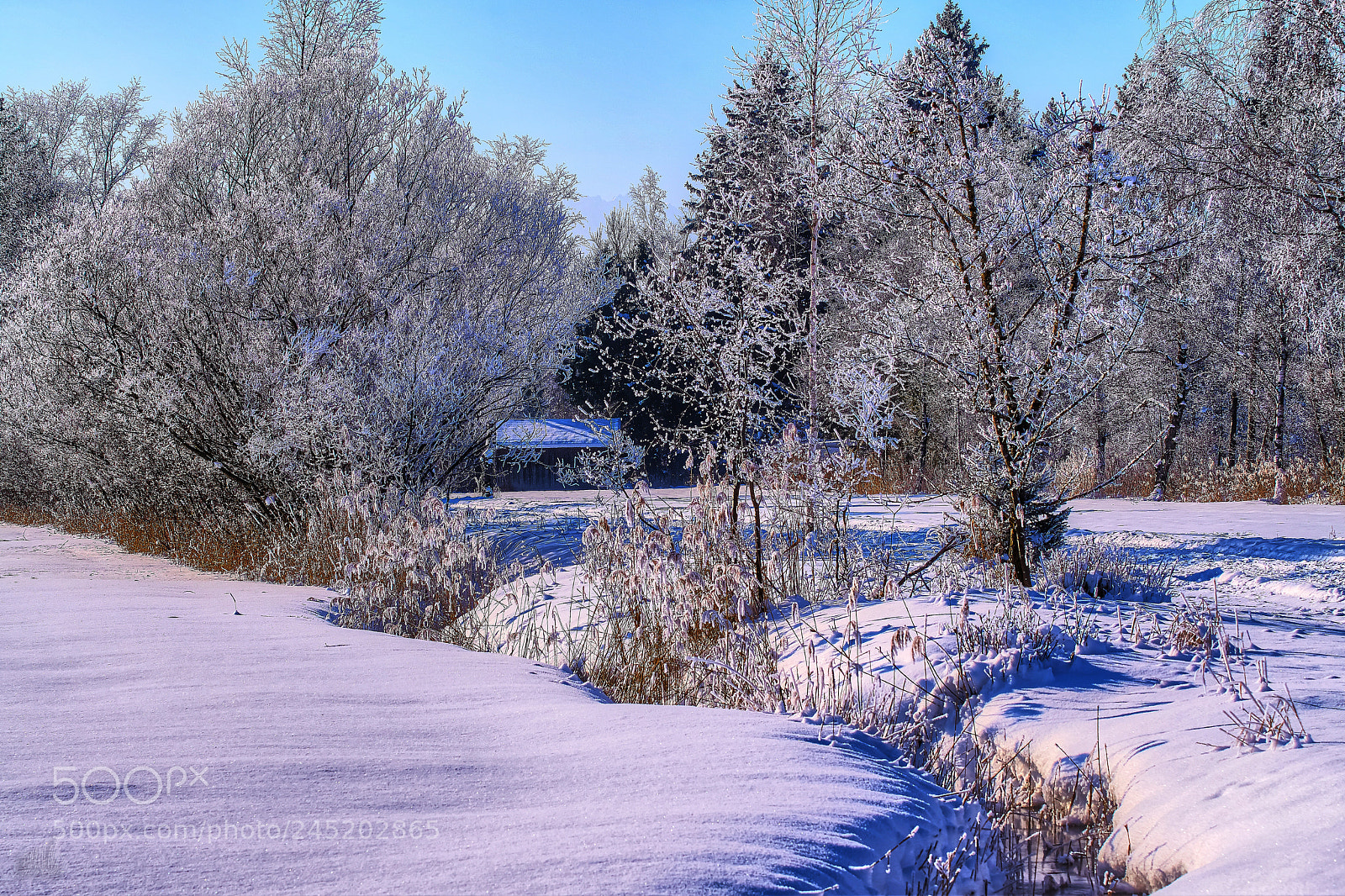 Sony ILCA-77M2 sample photo. The barn back there photography