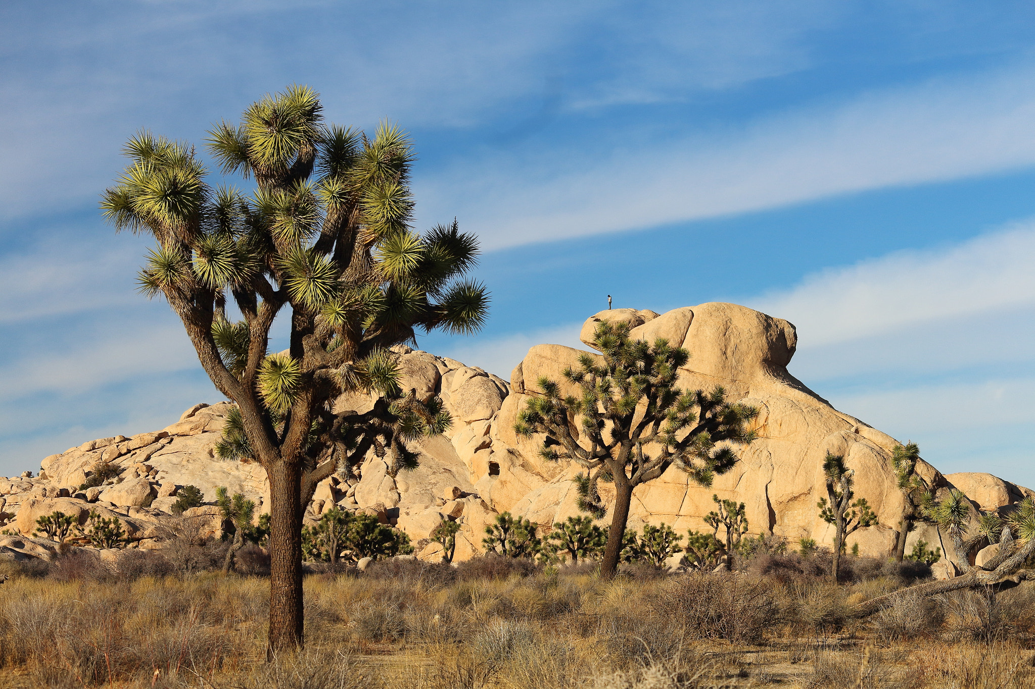 Canon EF-S 55-250mm F4-5.6 IS STM sample photo. Little man on big rock photography
