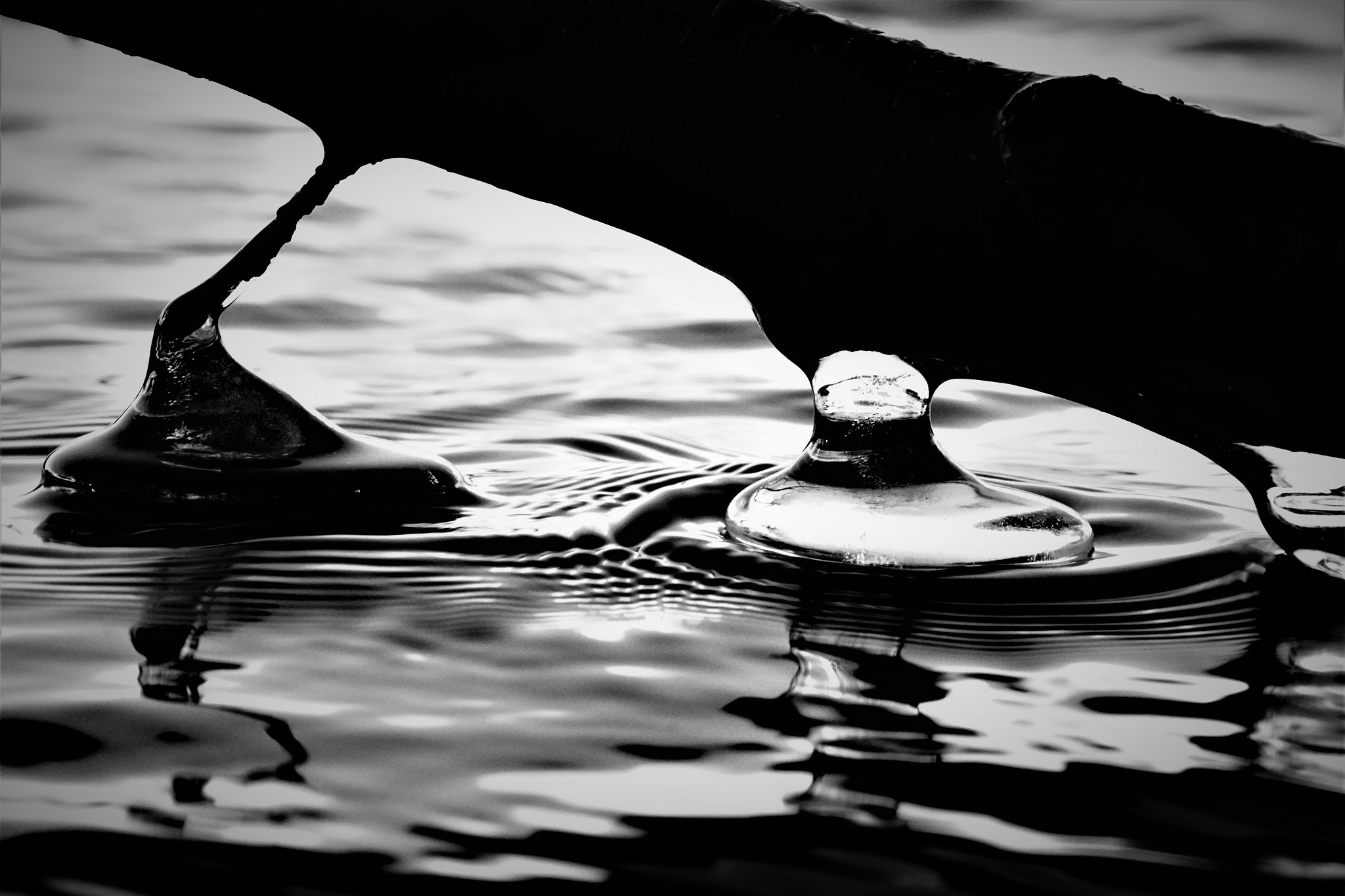 Sony DT 18-135mm F3.5-5.6 SAM sample photo. Touchdown photography