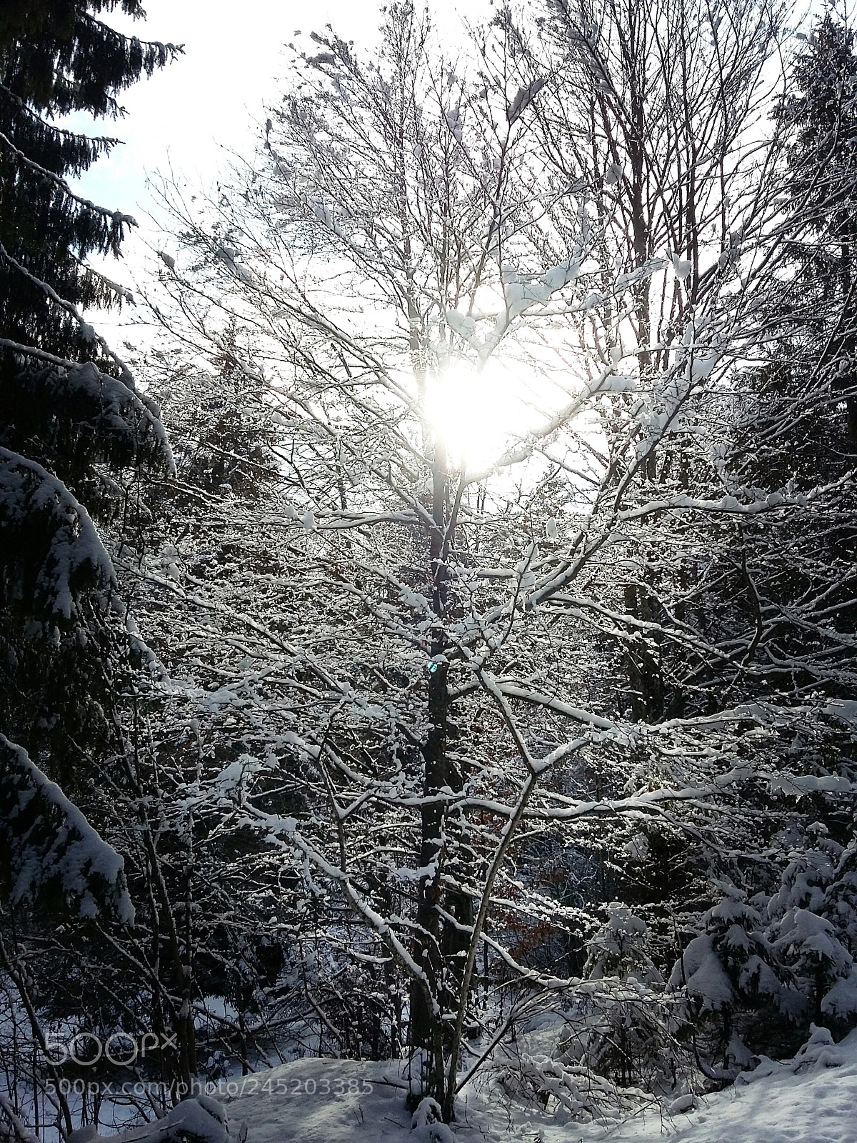 Samsung Galaxy Grand Prime sample photo. Untitled photography