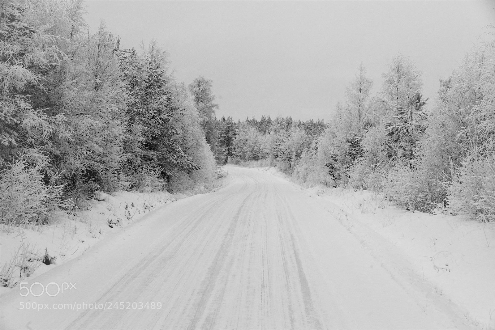 Pentax K-1 sample photo. Slippery curve photography