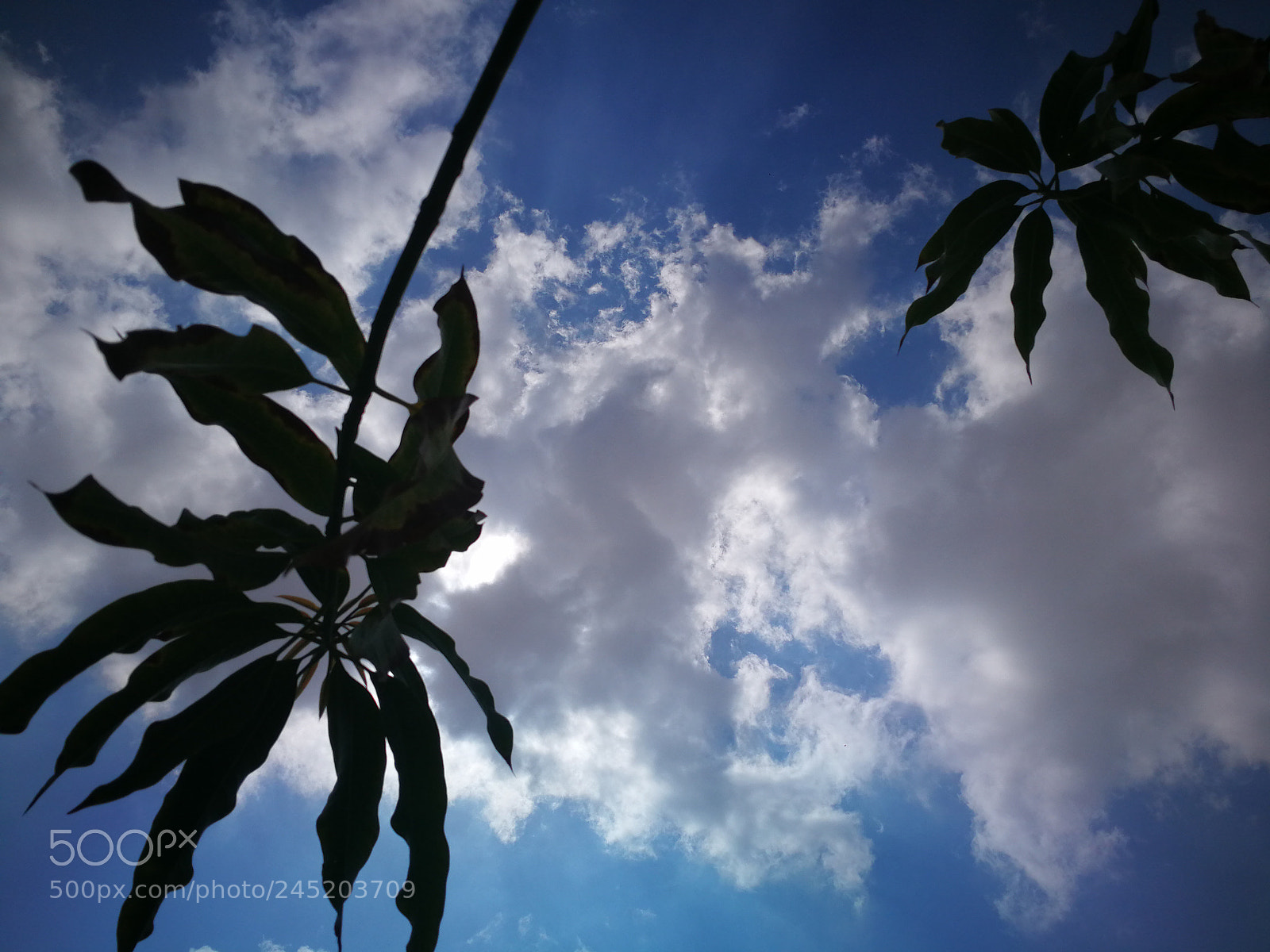 HUAWEI Mate 9 sample photo. Sky photography
