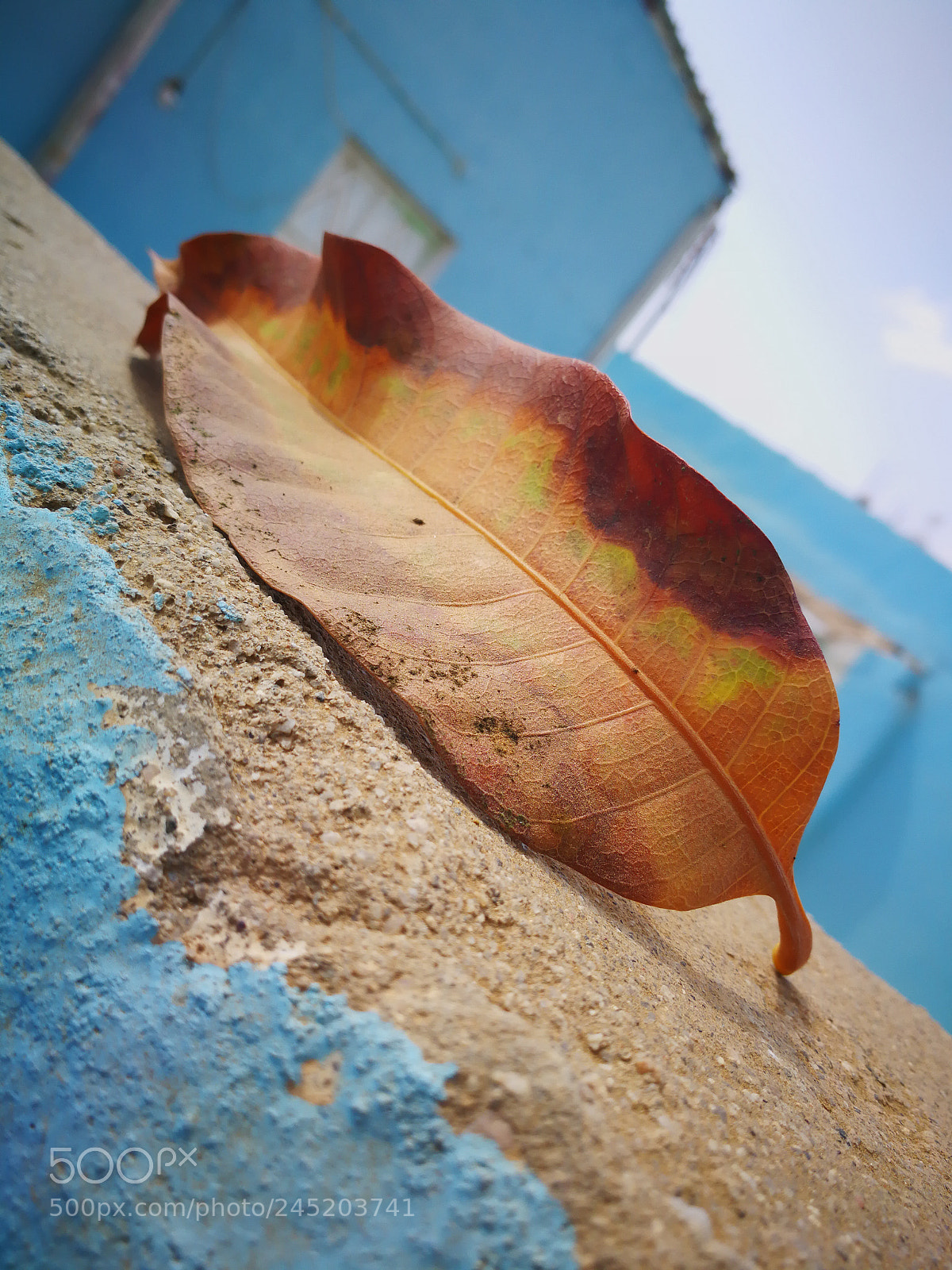 HUAWEI Mate 9 sample photo. Dav photography