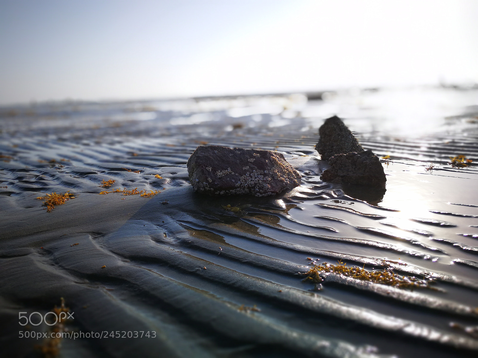 HUAWEI Mate 9 sample photo. Sea photography