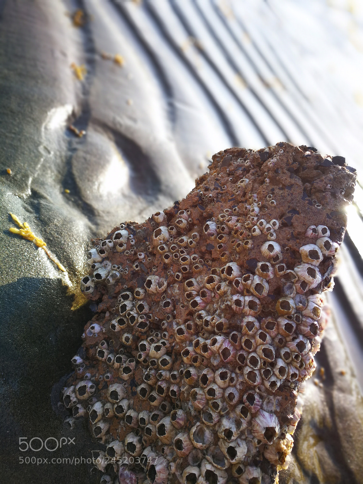 HUAWEI Mate 9 sample photo. Sea photography