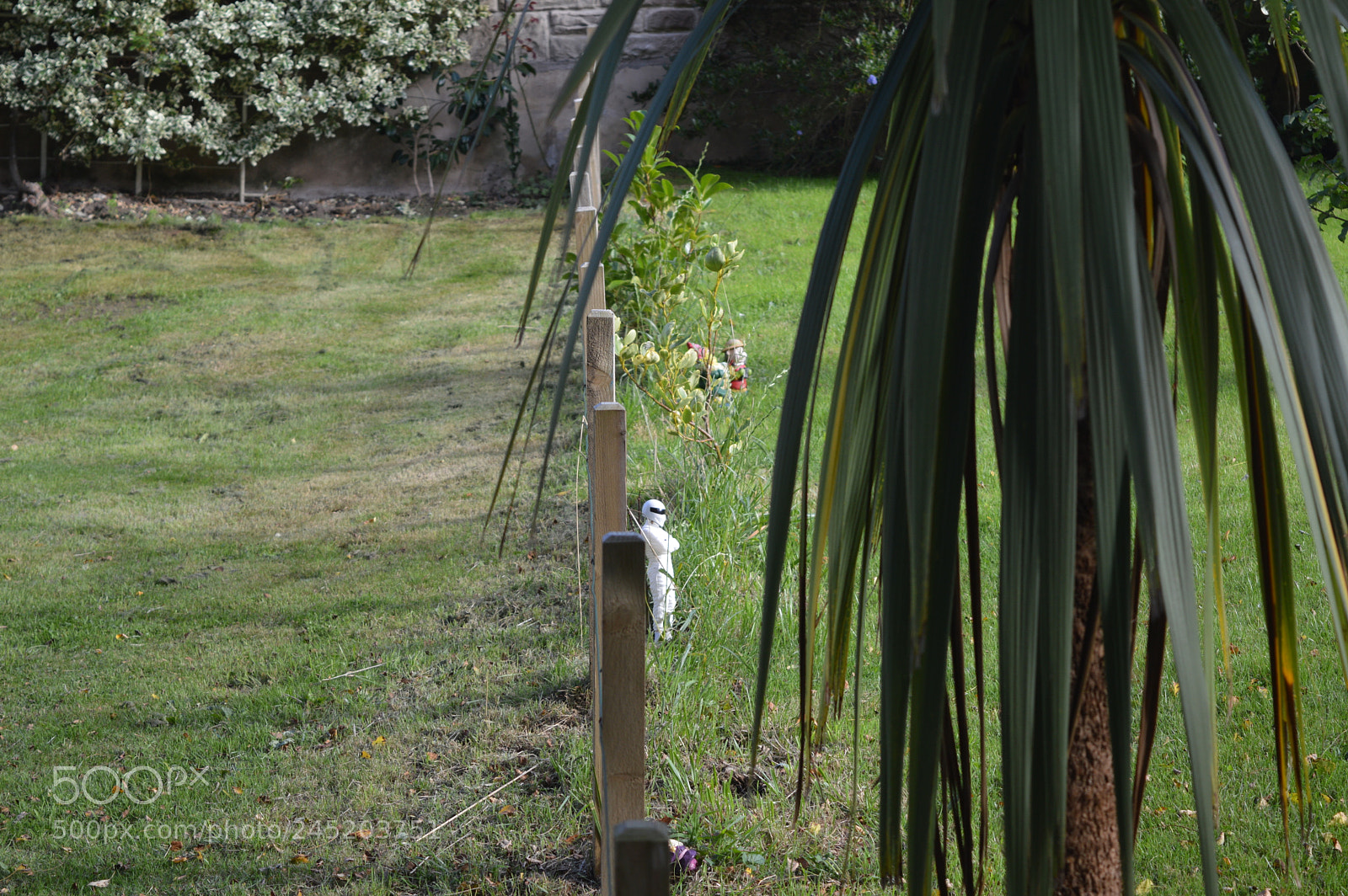 Nikon D3200 sample photo. Untitled photography