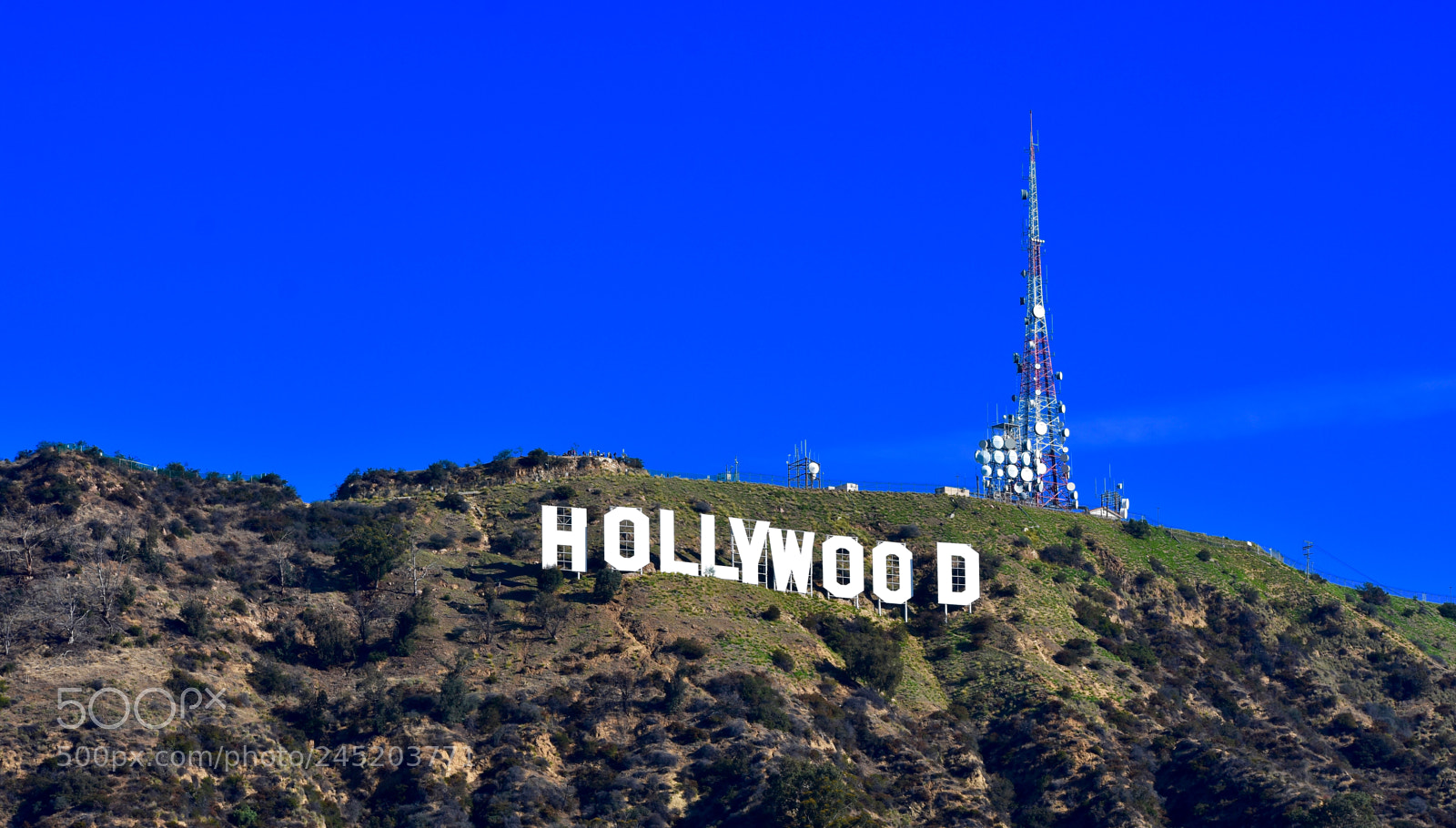 Nikon D3400 sample photo. Hollywood photography