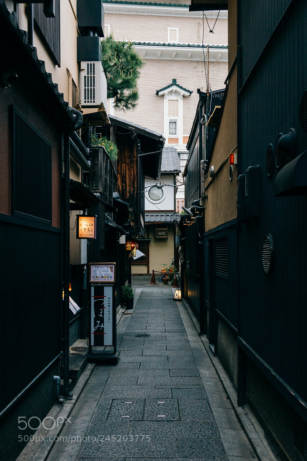 Canon EOS 550D (EOS Rebel T2i / EOS Kiss X4) sample photo. Kyoto #15 photography