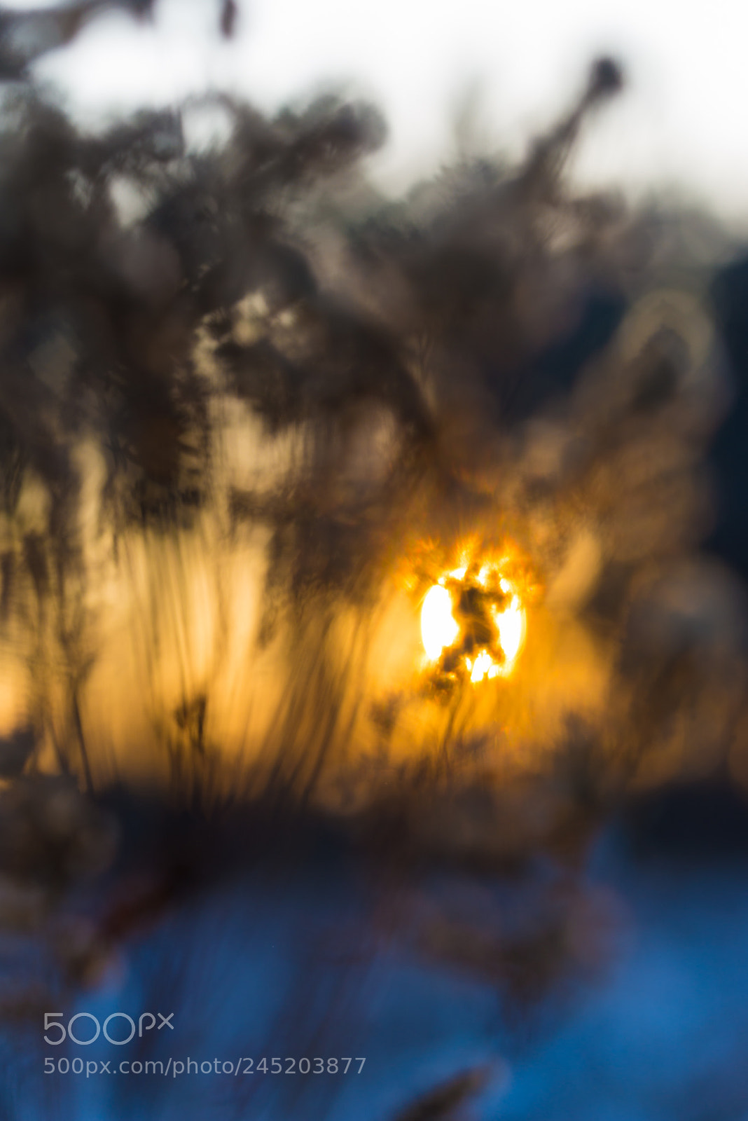 Nikon D610 sample photo. Warstwy photography