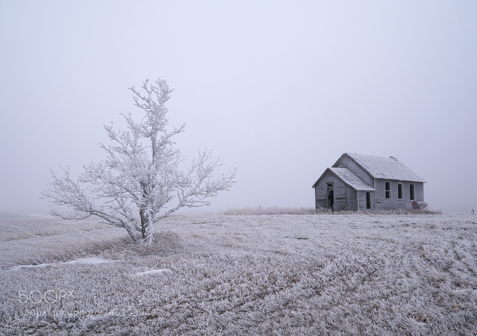 Sony a6300 sample photo. Frozen fog photography