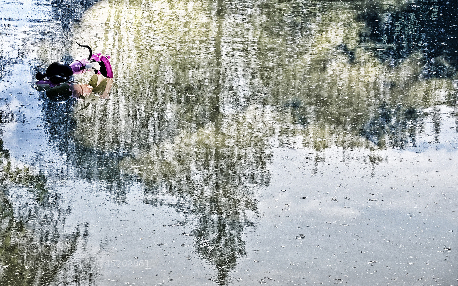 Fujifilm X-T20 sample photo. Minnie photography