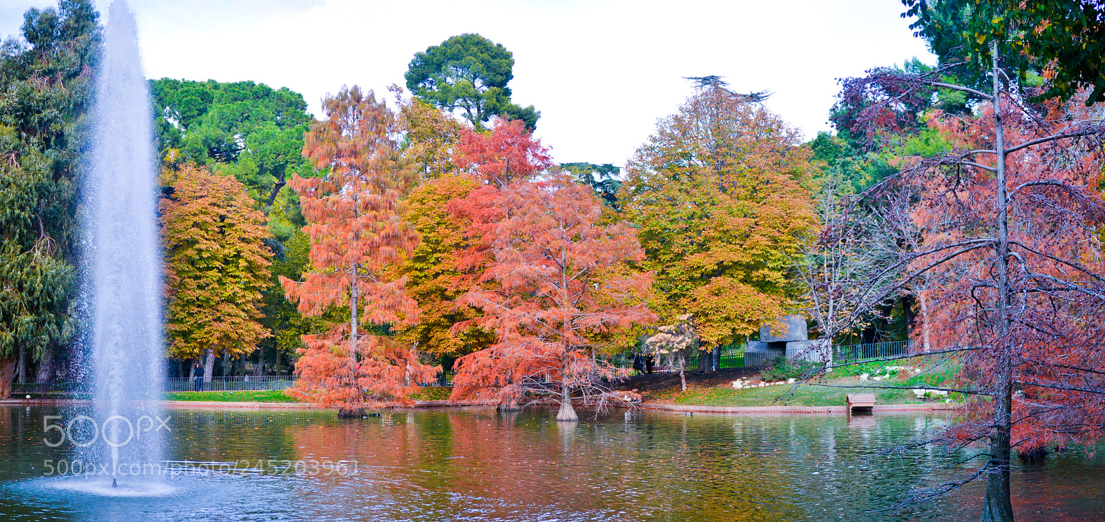 Nikon D3100 sample photo. Fuente palacio de cristal photography