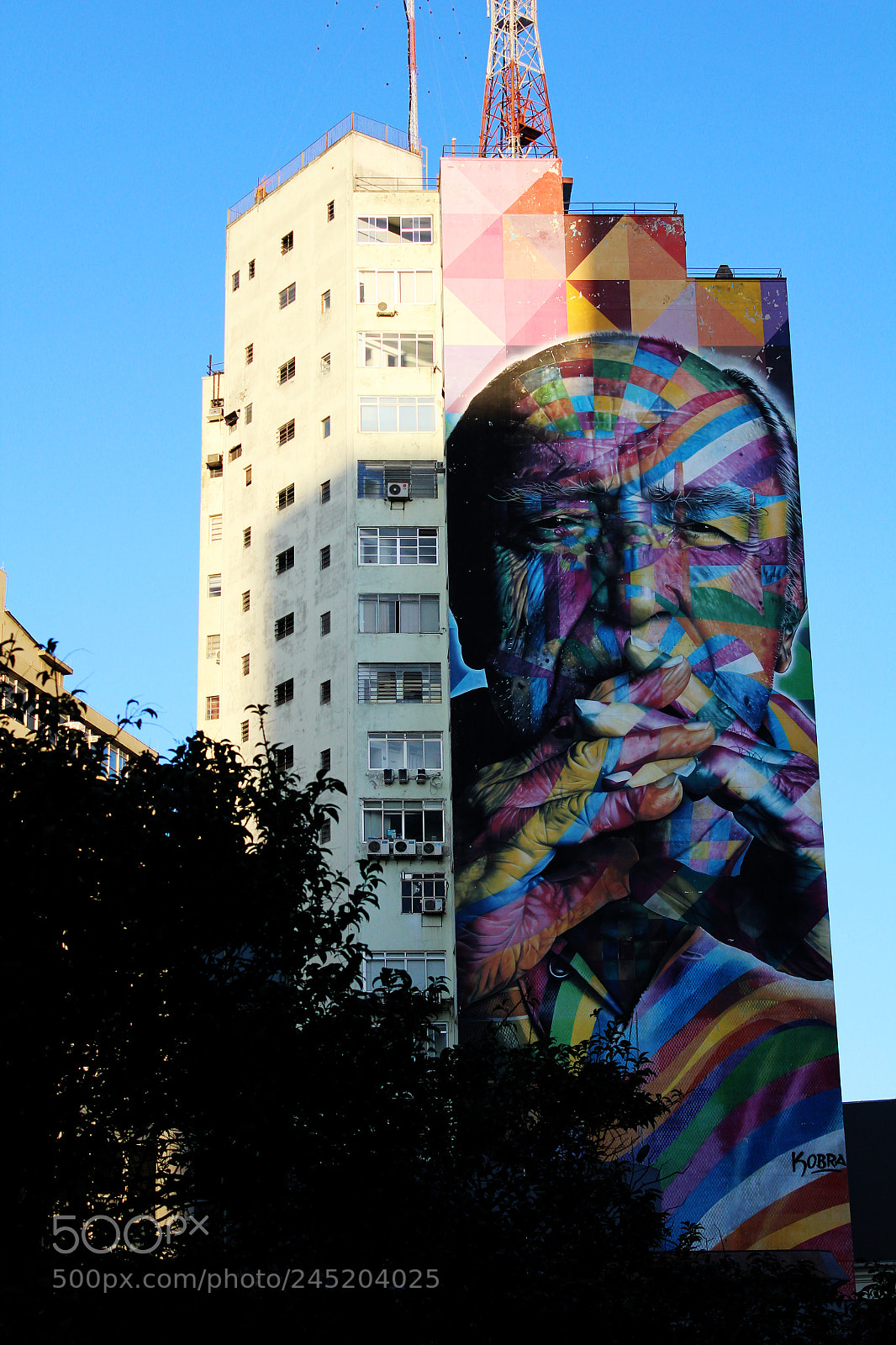 Canon EOS 1200D (EOS Rebel T5 / EOS Kiss X70 / EOS Hi) sample photo. Kobra - brazil photography