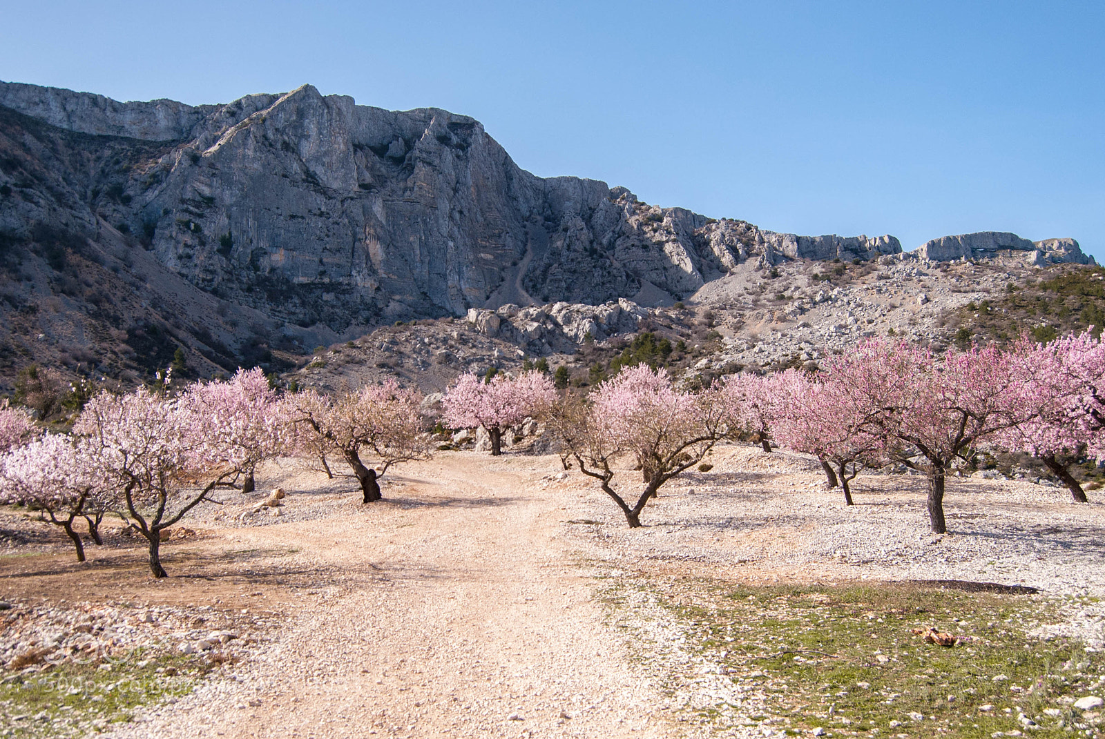Nikon D3000 sample photo. Sierra de aitana photography