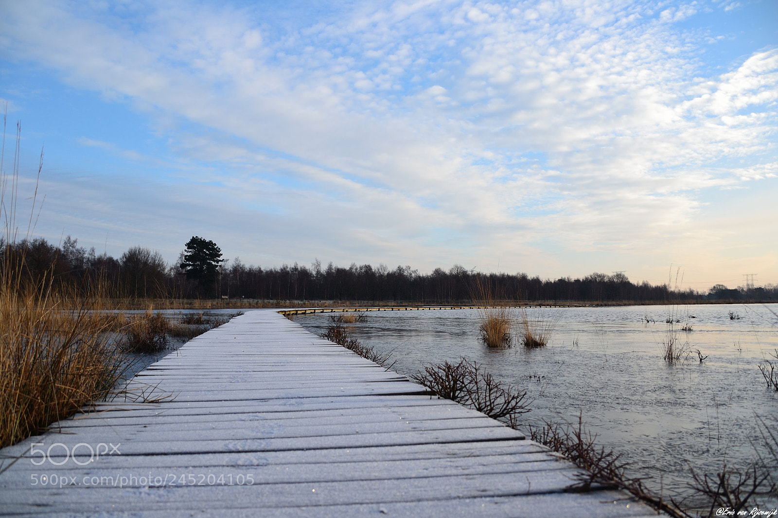 Nikon D3100 sample photo. Huis ter heide, de photography