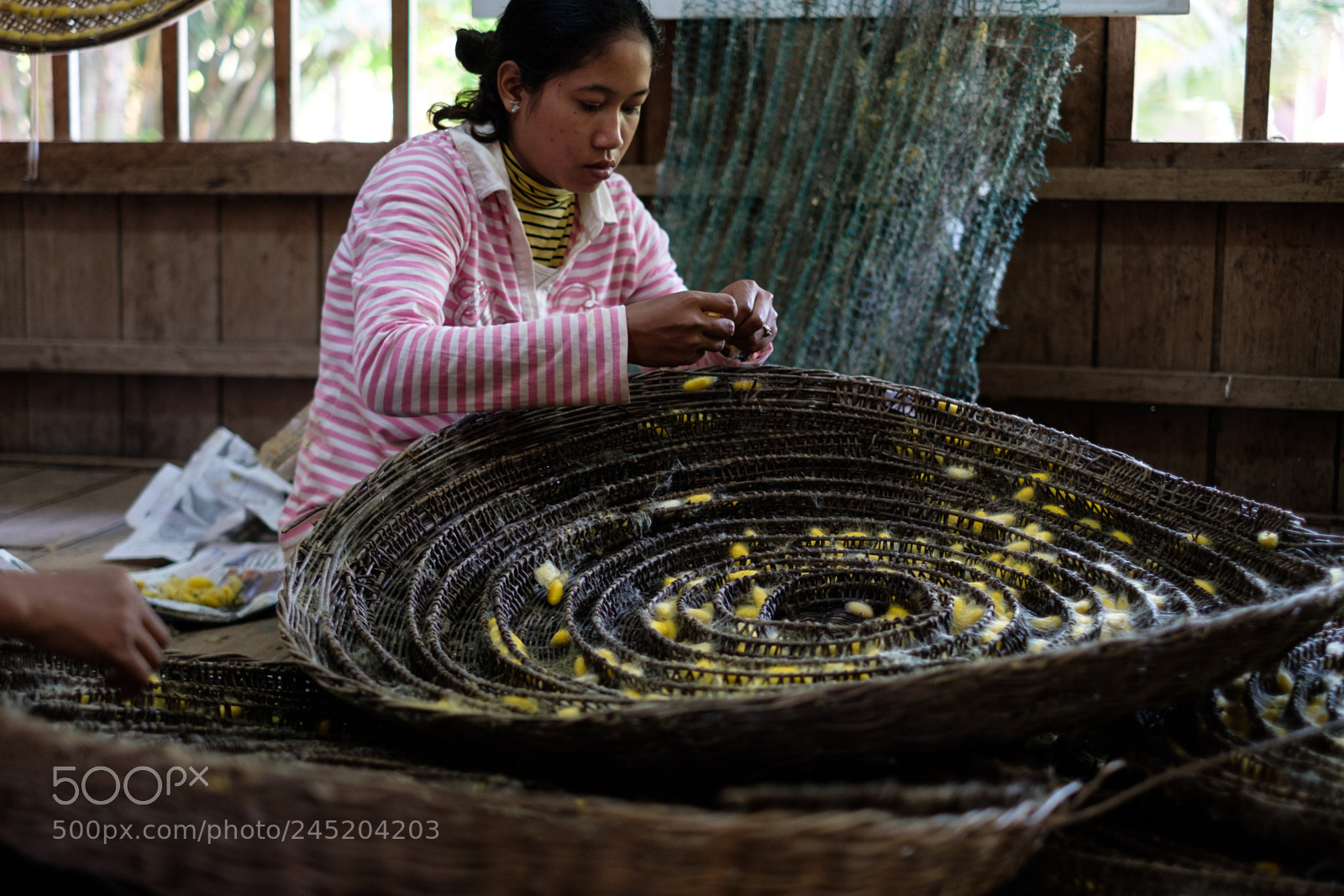 Fujifilm X-Pro2 sample photo. Siem reap silk farm photography