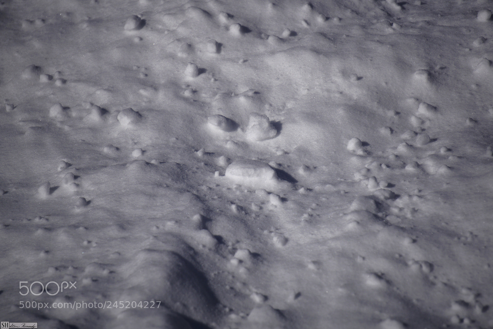 Sony E 55-210mm F4.5-6.3 OSS sample photo. Dsc photography