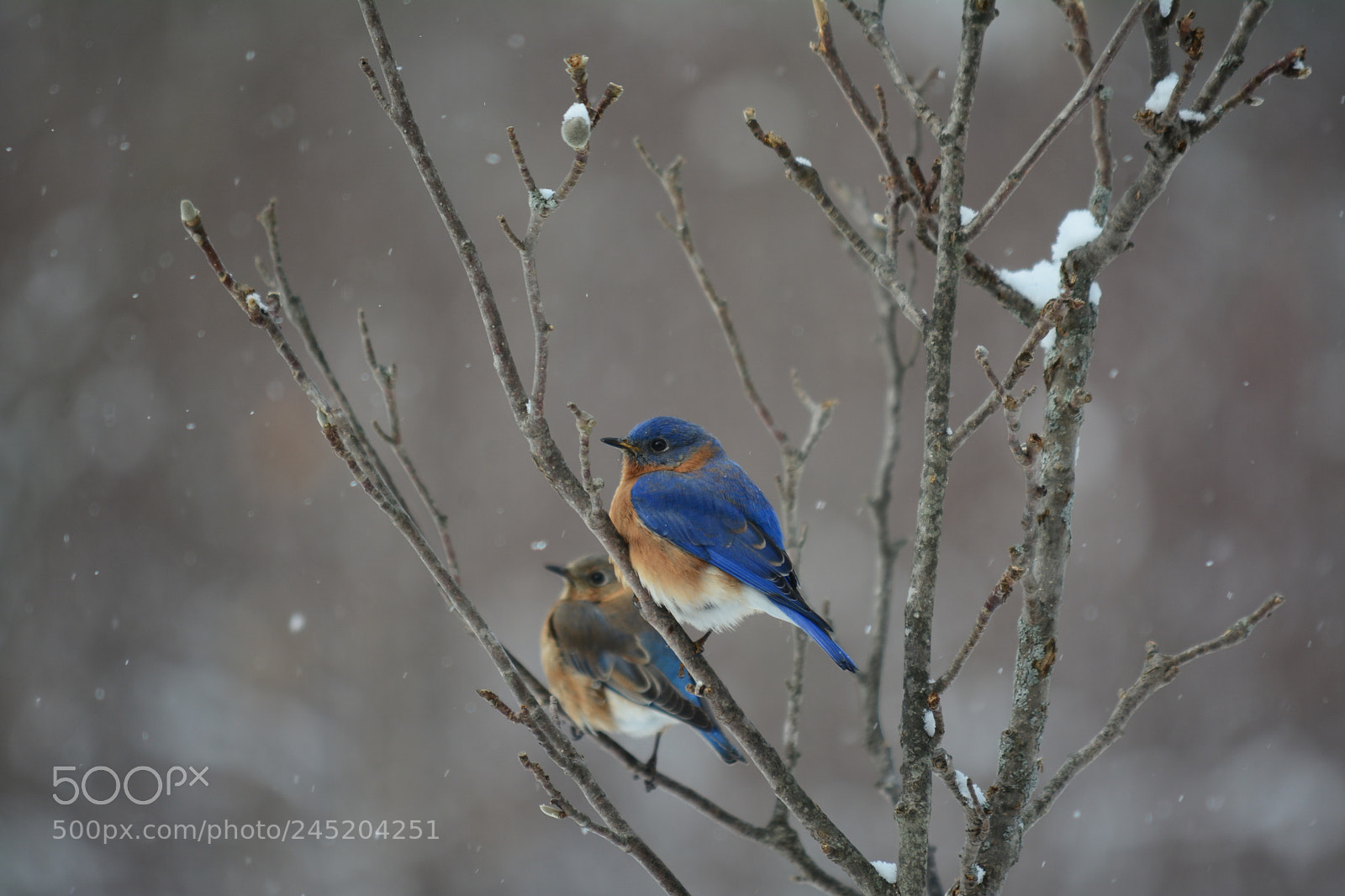 Nikon D7100 sample photo. A bird in hand photography
