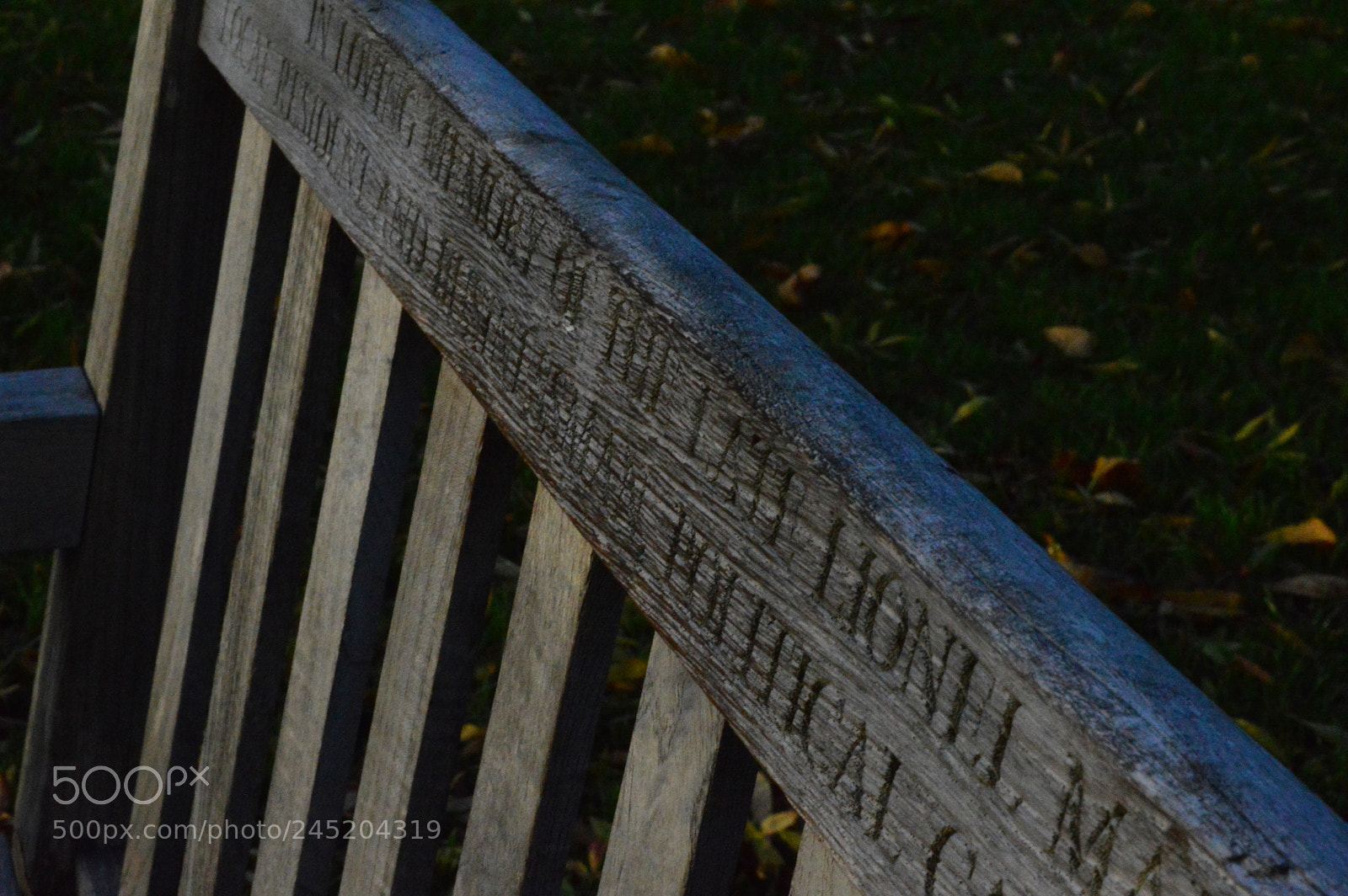 Nikon D3200 sample photo. Untitled photography