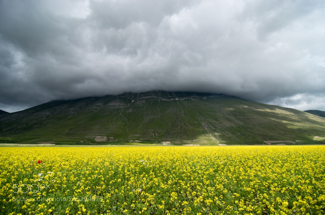 Pentax K-5 II sample photo. A thunderstorm rises photography