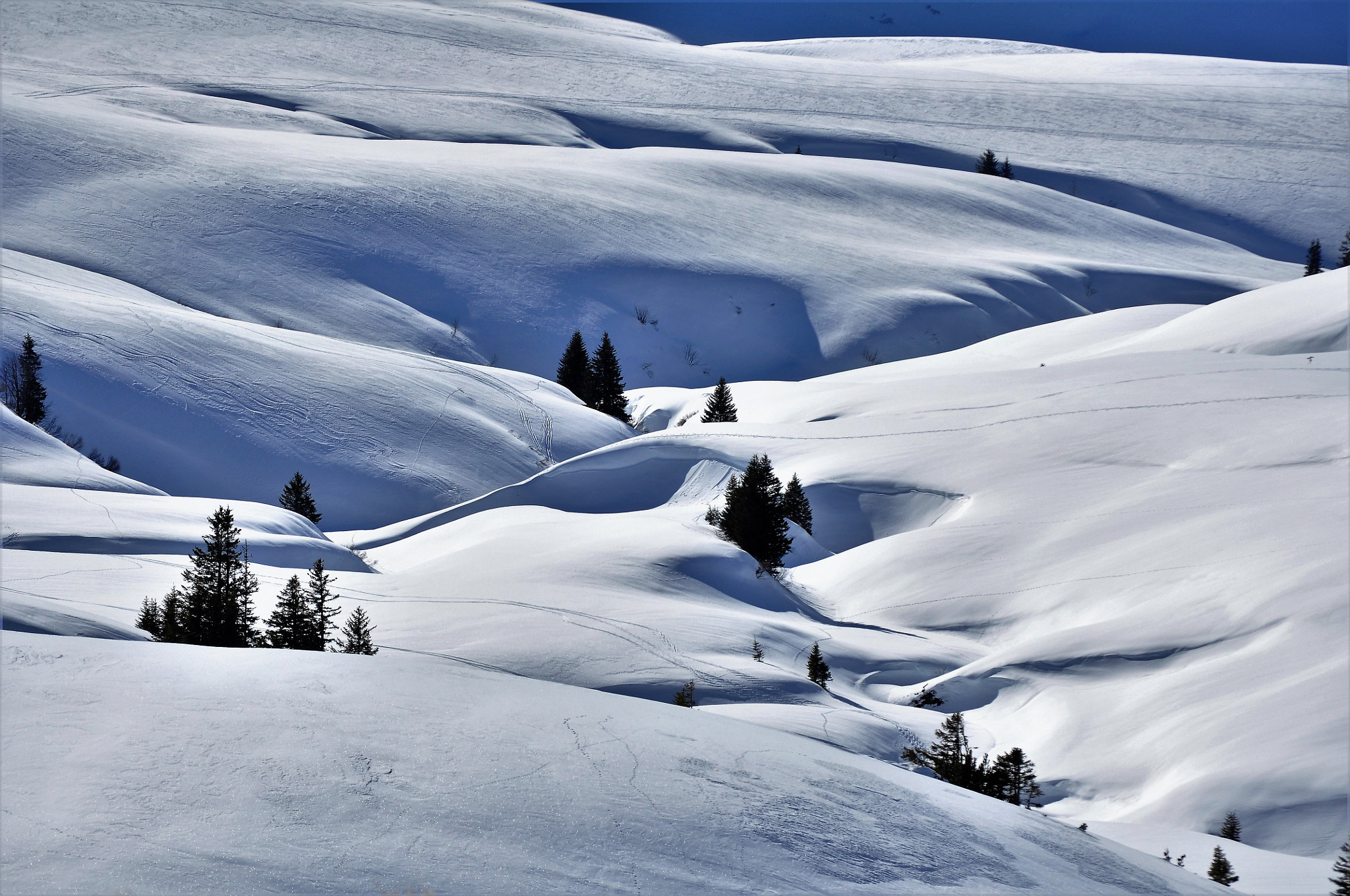 Nikon D90 sample photo. Snow field photography