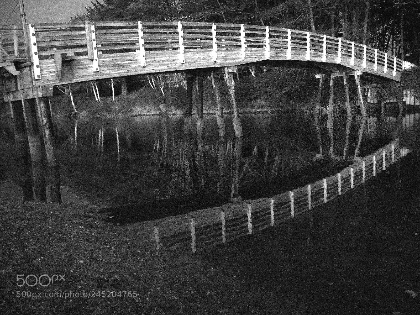 Apple iPad sample photo. Public access bridge to photography