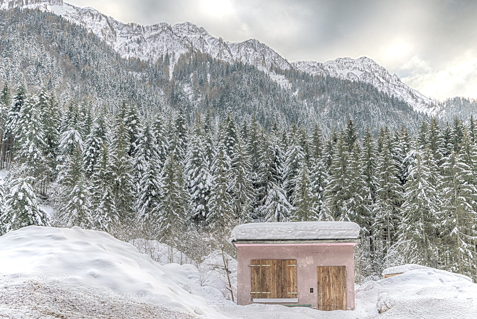Nikon D610 sample photo. Cold retirement photography