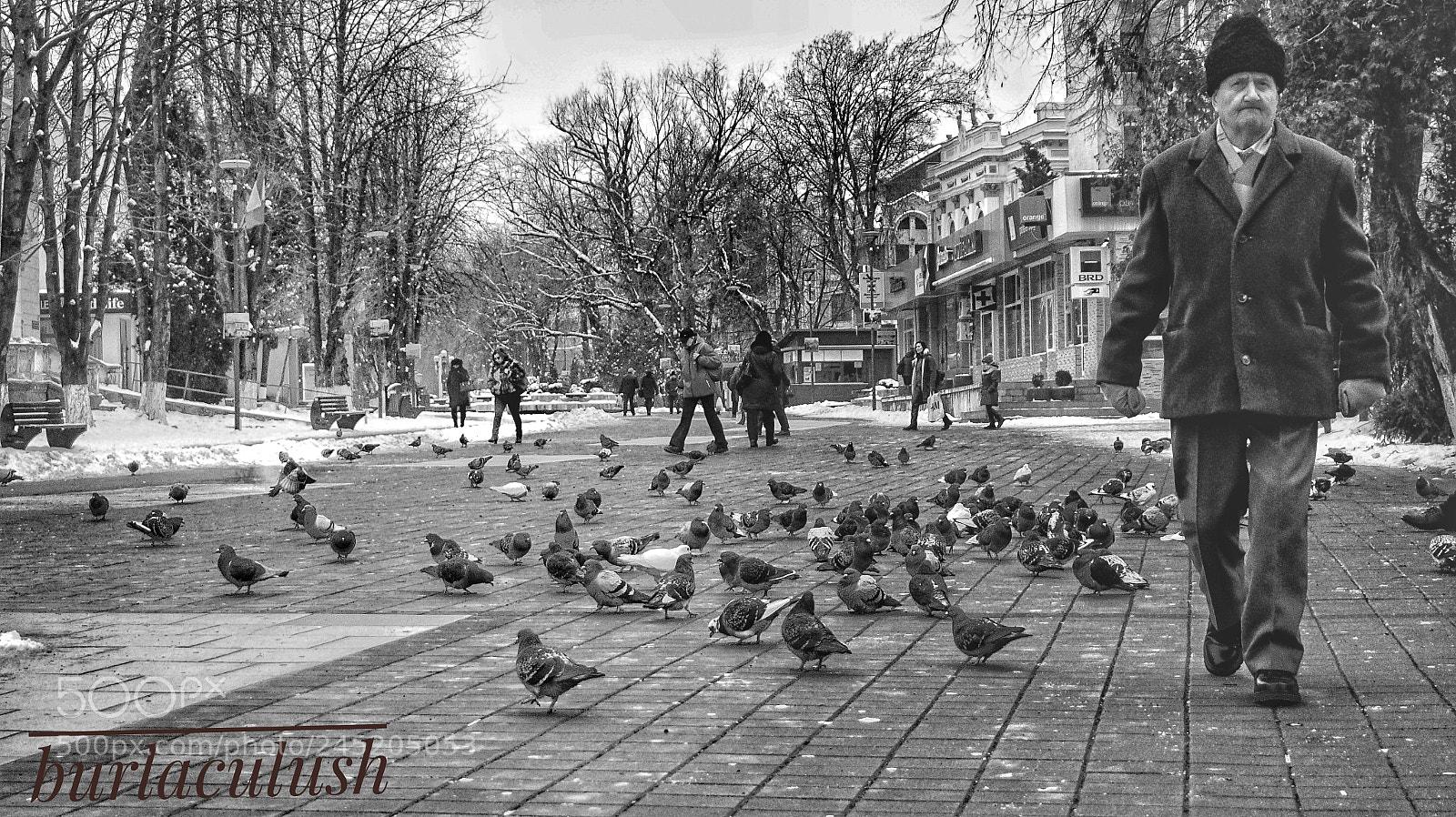 Sony Alpha a5000 (ILCE 5000) sample photo. Untitled photography
