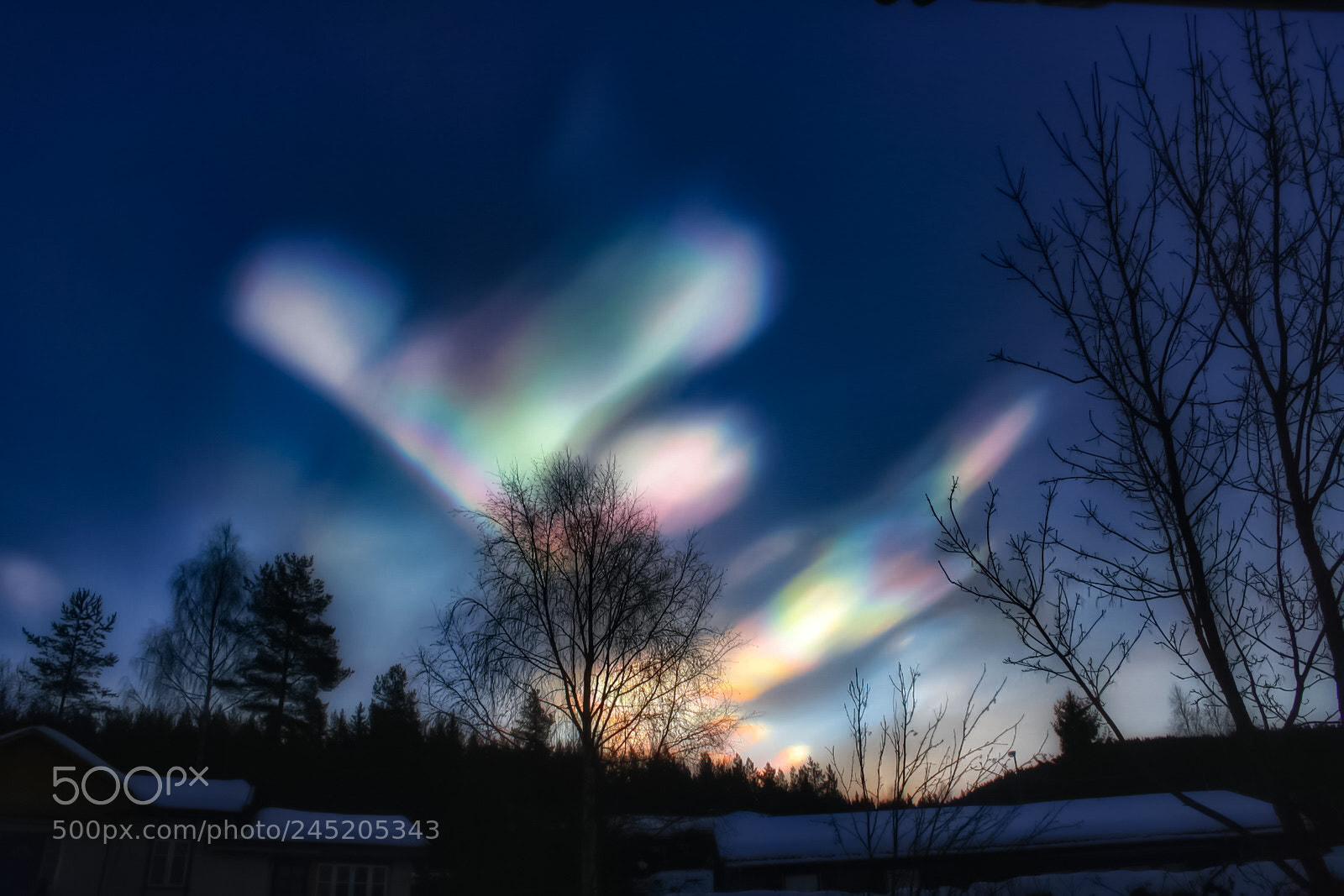 Canon EOS 1000D (EOS Digital Rebel XS / EOS Kiss F) sample photo. Sky of hearts photography
