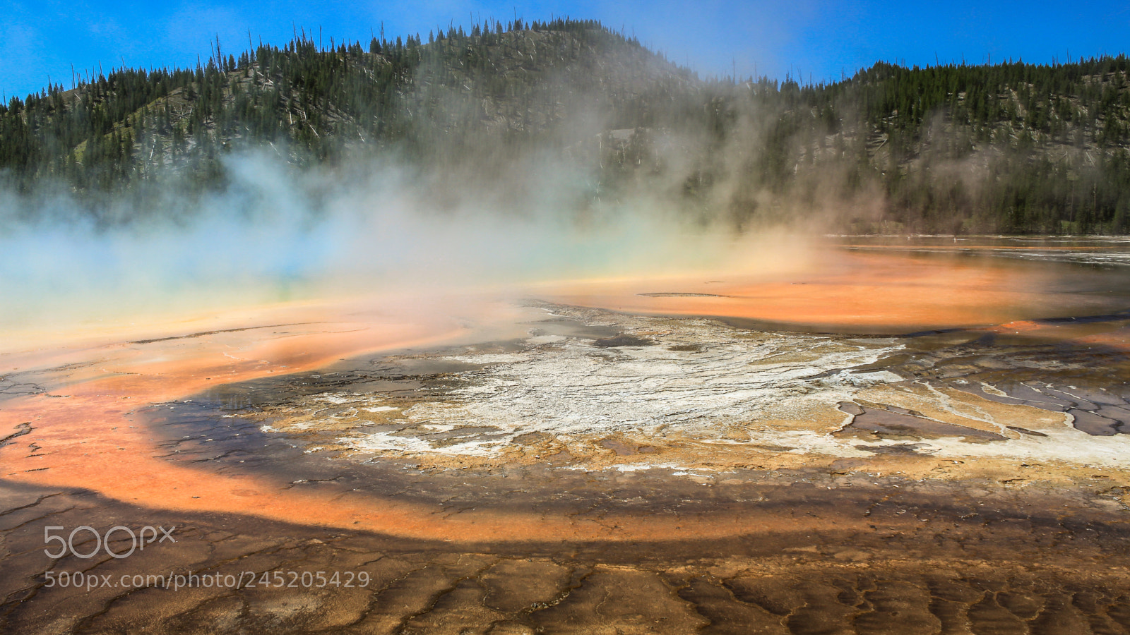 Canon EOS 500D (EOS Rebel T1i / EOS Kiss X3) sample photo. Grand prismatic springs photography