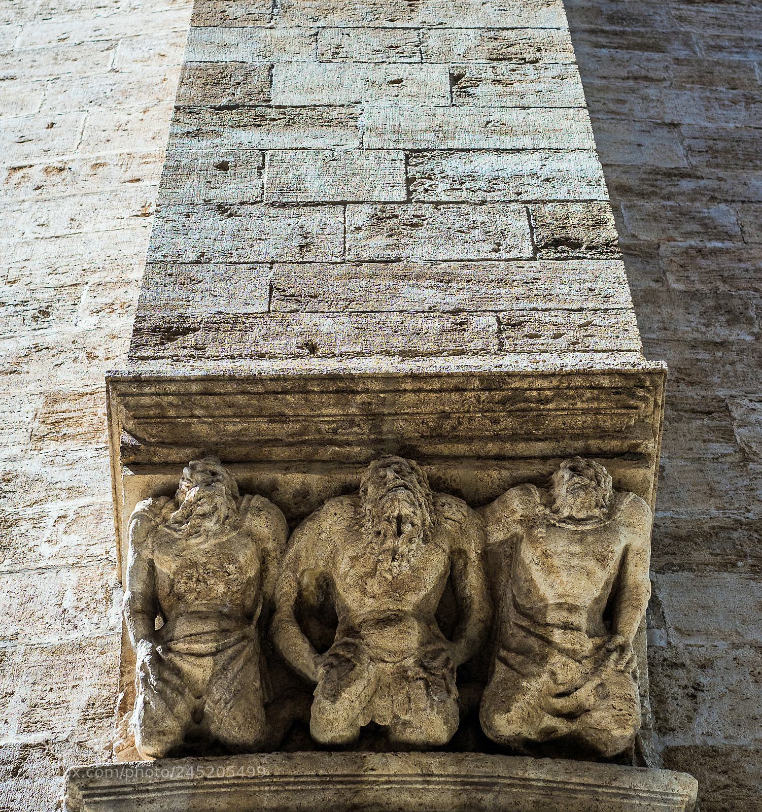 Olympus OM-D E-M1 Mark II sample photo. Olympus digital camera photography